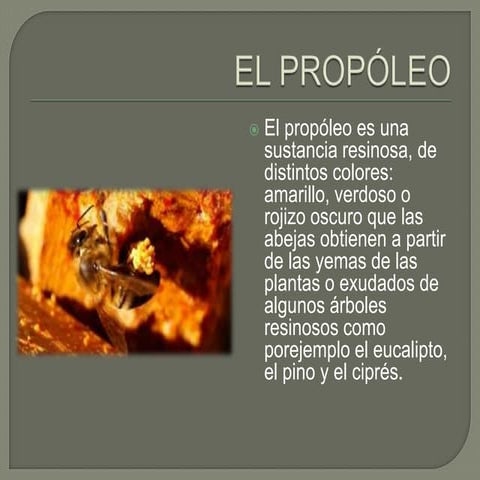El propóleo