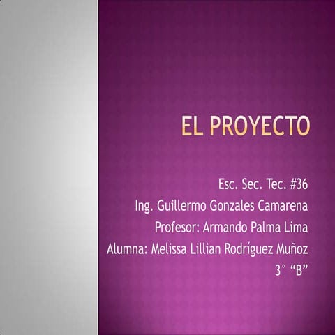 El proyecto