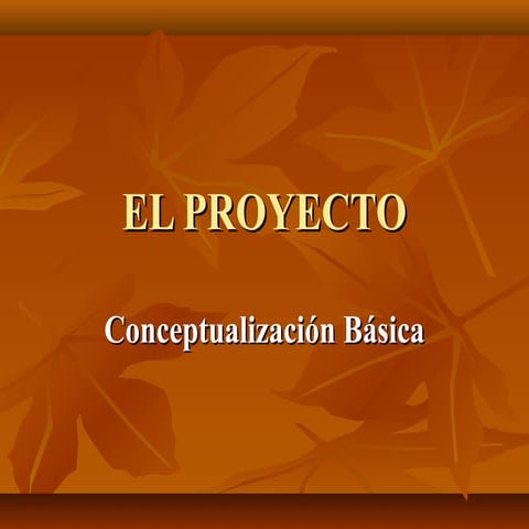 El proyecto grado 10