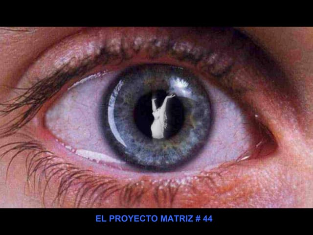 El Proyecto Matriz #44. BIOLOGIA SI...