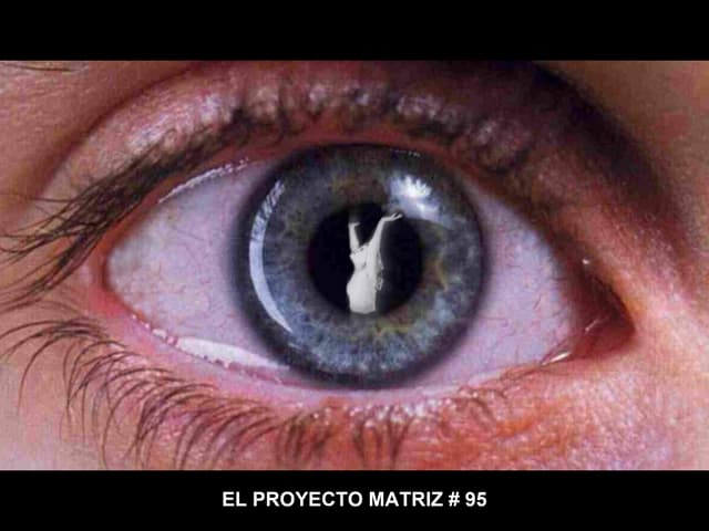 El Proyecto Matriz 95   Elecciones ...