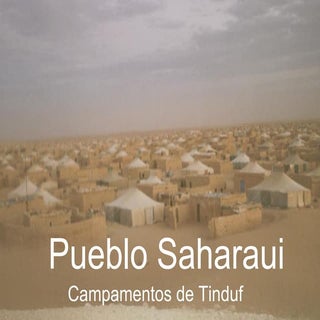 El pueblo saharaui.
