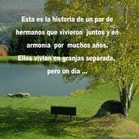 El puente avanzapormas-com