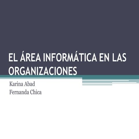 El área informática en las organizaciones