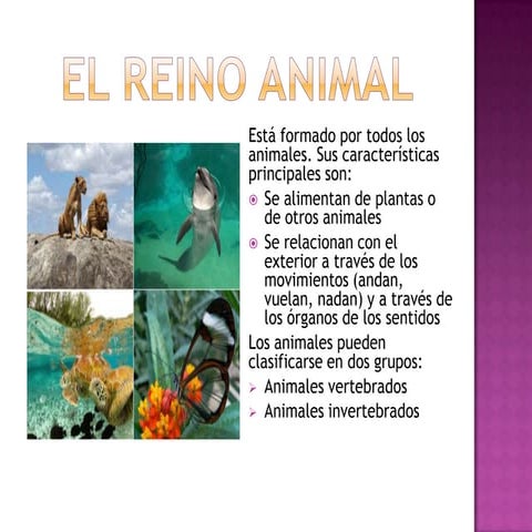 El Reino Animal