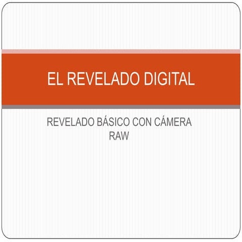 El revelado digital