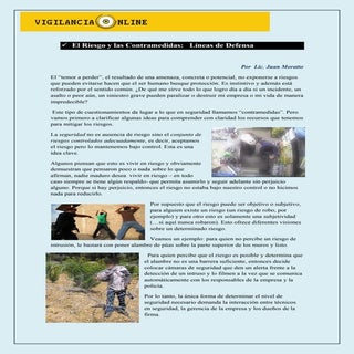 Seguridad Empresarial: El riesgo y ...