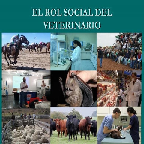 El rol social del veterinario | PPT