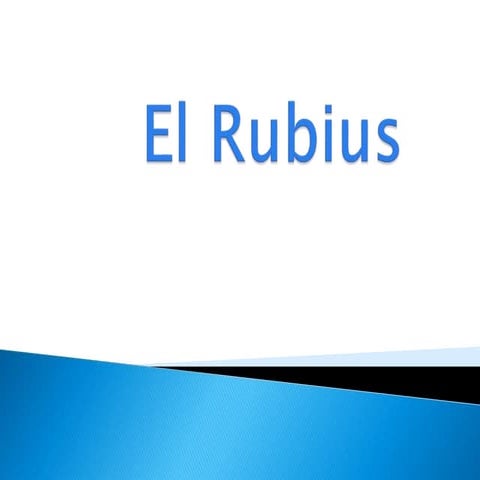 El rubius | PPTX