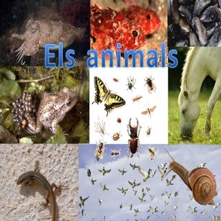 Els Animals