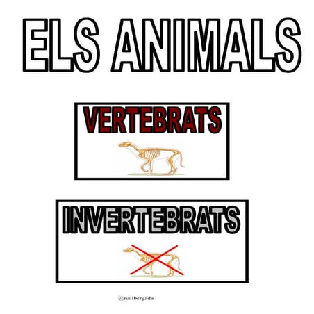 ANIMALS: VERTEBRATS-INVERTEBRATS