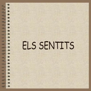 Els Sentits
