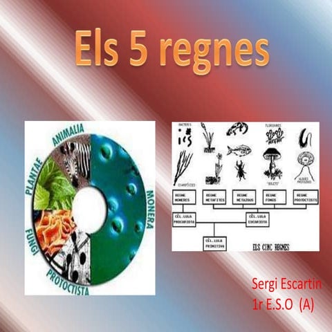 Els 5 regnes dels éssers vius