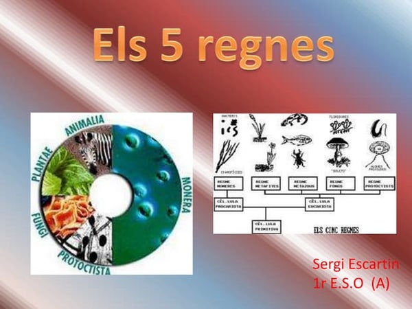 Els 5 regnes dels éssers vius
