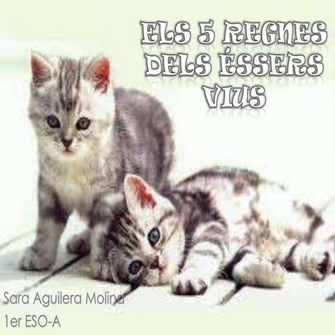 Els 5 regnes dels éssers vius