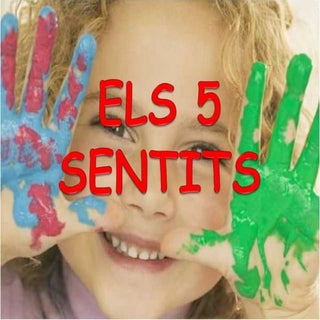 Els 5 Sentits