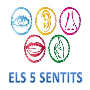 Els 5 sentits