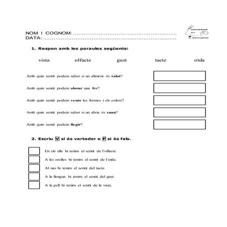 Els 5 sentits activitats