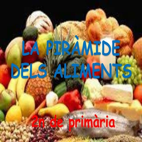 La piràmide dels aliments