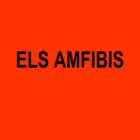 Els amfibis