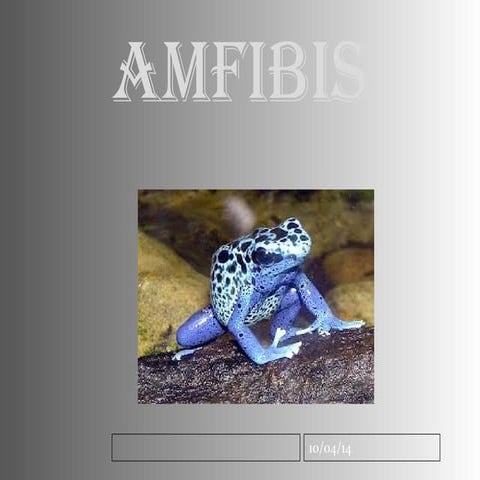 Els amfibis power point