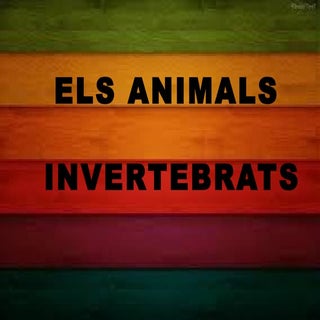 Els animals invertebrats
