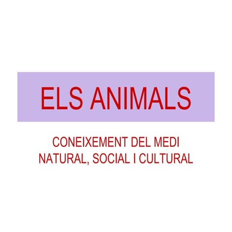 Els animals medi tercer