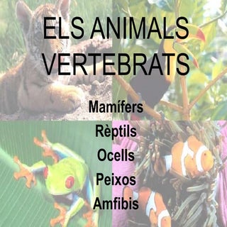 Els animals vertebrats
