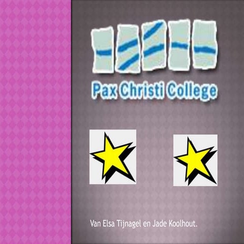 Elsa presentatie | PPTX