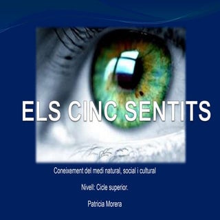 Els cinc sentits