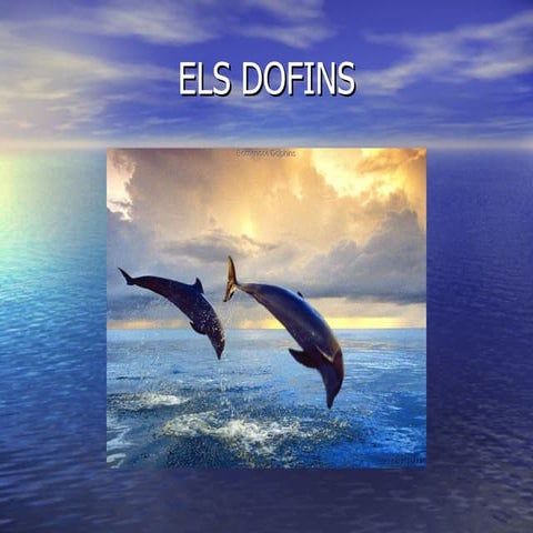 Els dofins