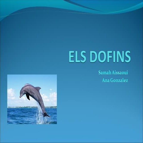 Els dofins