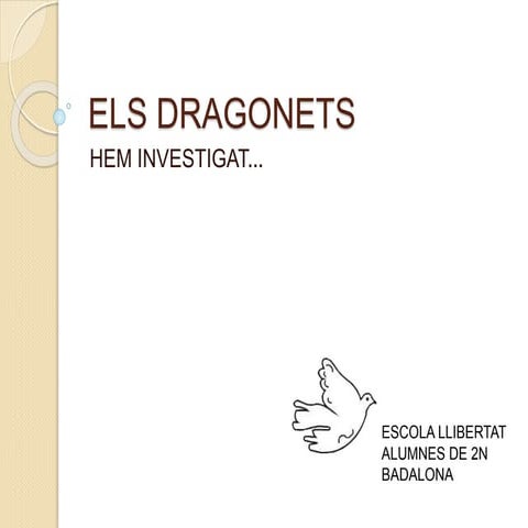 Els dragonets