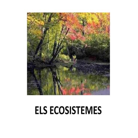Els ecosistemes