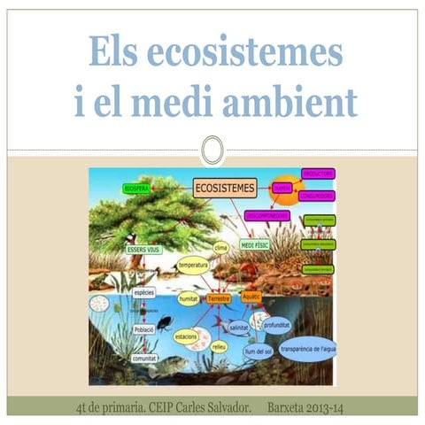 Els ecosistemes  