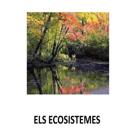 Els ecosistemes Carles i Victòria