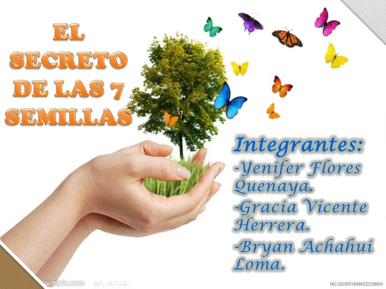El secreto de las 7 semillas