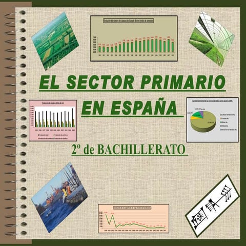 El sector primario en España