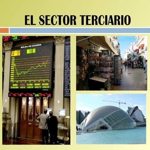 El Sector Terciario