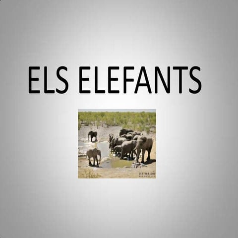 Els elefants.2