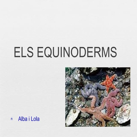 Els equinoderms (lola i alba)