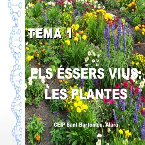 Els essers vius   les plantes