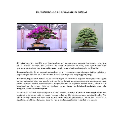 El significado de regalar un bonsai | PDF