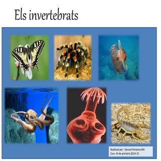 Els invertebrats