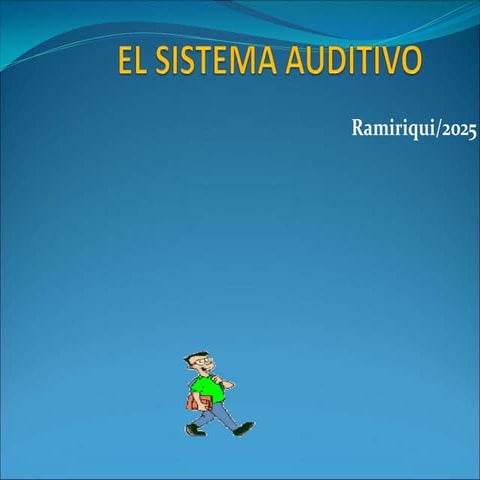 El sistema auditivo