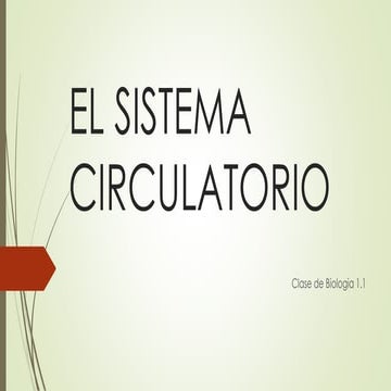 Método Deductivo- El sistema circulatorio