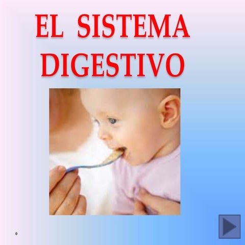 El  sistema digestivo