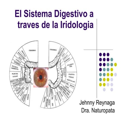 El Sistema Digestivo