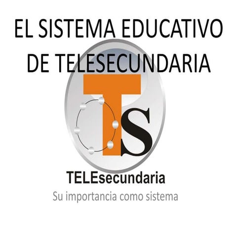 El sistema educativo de telesecundaria