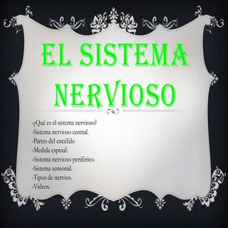 El sistema nervioso